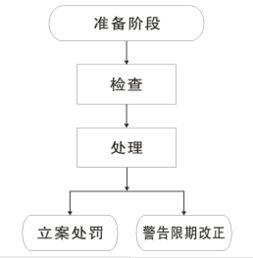 計劃生育技術(shù)服務(wù)工作定期檢查流程圖解析及網(wǎng)絡(luò)技術(shù)服務(wù)支撐