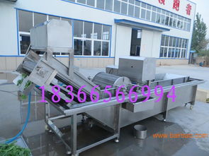 氣泡清洗機(jī) 高效清潔的大棗與生姜專業(yè)設(shè)備解決方案