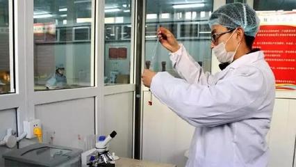 強肝益腎明目填精 寧夏枸杞與空氣凈化設(shè)備研發(fā)的跨界啟示