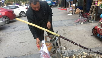 廣西糖廠食安事件折射產(chǎn)業(yè)短板 甘蔗清洗與空氣凈化設(shè)備研發(fā)亟待加強