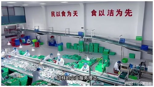 流水線洗碗機 中小型餐具清洗廠的效率與品質(zhì)革命